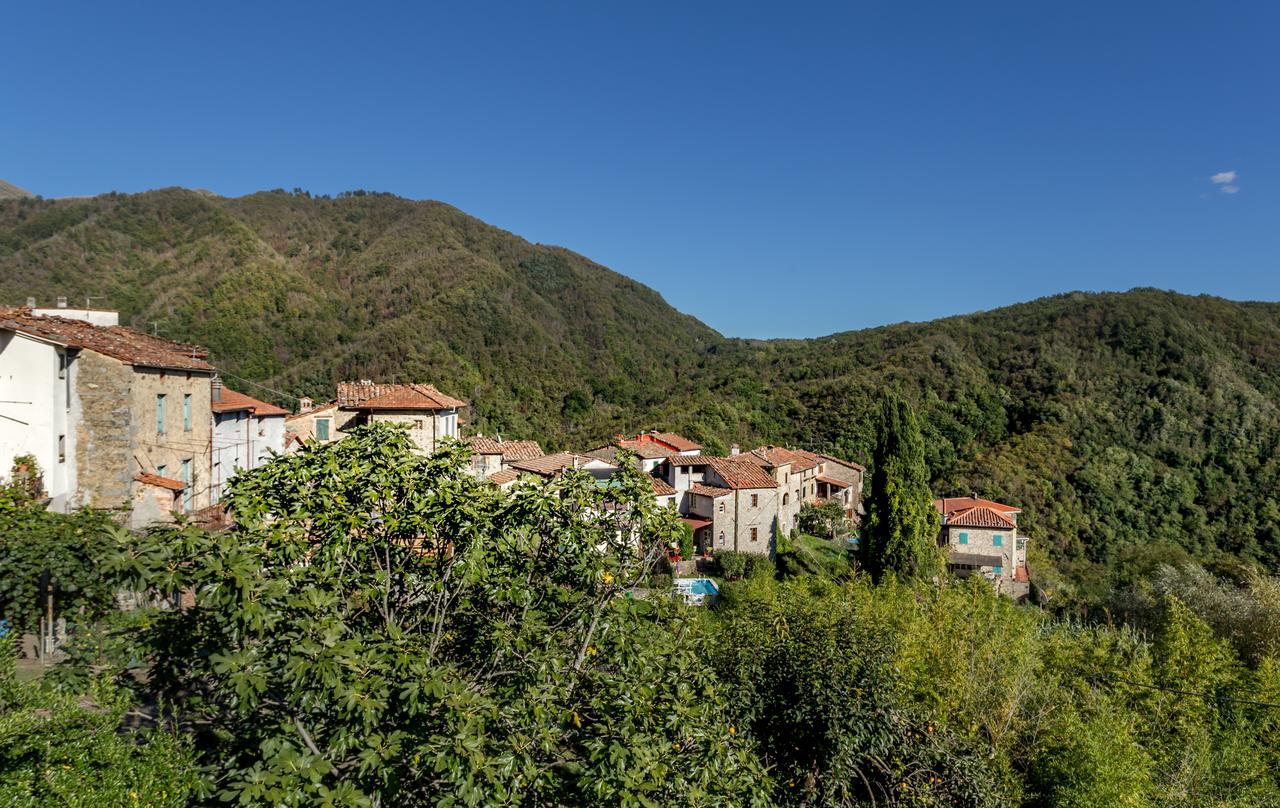 דירות Monti di Villa Casa Dei Ciliegi מראה חיצוני תמונה